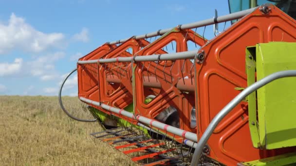 Combine Harvester Working Wheat Field Seasonal Harvesting Wheat Agriculture — Video Stock