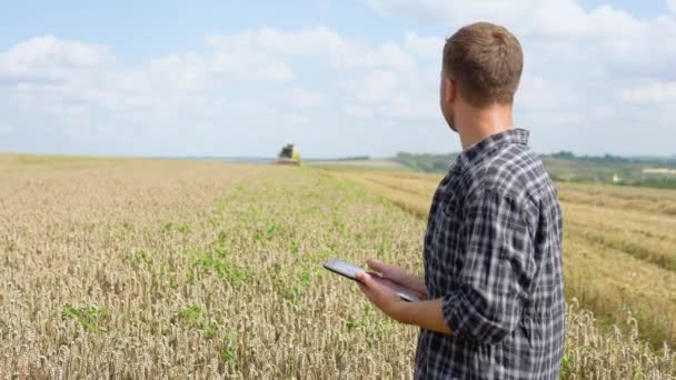 Farmer Using Laptop Holding Notebook Combine Harvester Wheat Field Background — Wideo stockowe