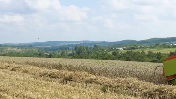 Erntemaschine Entfernt Weizen Auf Dem Feld — Stockvideo