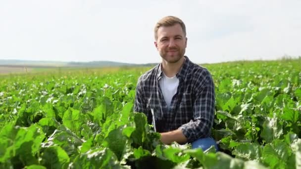 Фермер Перевіряє Урожай Цукровому Буряковому Полі Сільськогосподарська Концепція — стокове відео