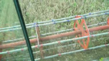 Harvesting mowing ripe wheat in sunny summer weather. Poin if view from harvester cabin. Farmer combine harvester on field.