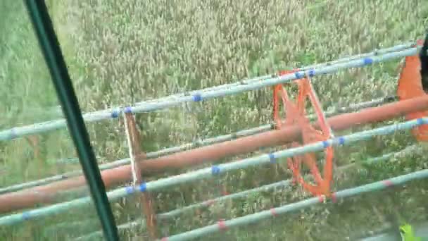 Harvesting Mowing Ripe Wheat Sunny Summer Weather Poin View Harvester — Vídeo de stock