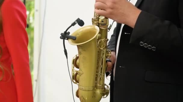 Concert View Saxophonist Saxophone Sax Player Vocalist Musical Band Jazz — Stock Video