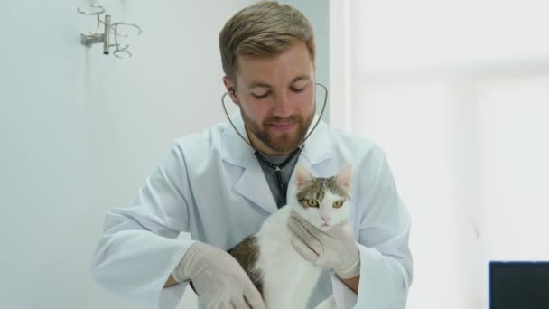 Veterinário Luvas Proteção Examinando Gato Com Estetoscópio Clínica Veterinária — Vídeo de Stock