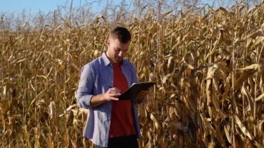 Genç Çiftçi hasat sırasında Mısır tohumu Mısır alanları incelemek.