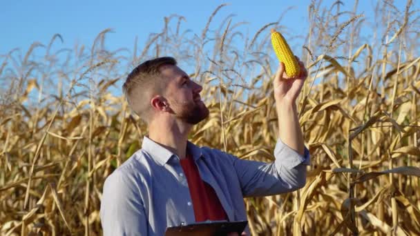 Портрет Гарного Фермера Який Збирає Кукурудзу — стокове відео