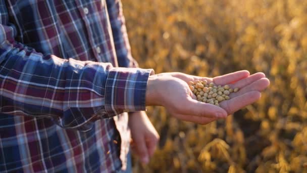 彼の手に大豆の種と若い農家の閉鎖 — ストック動画