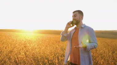 Bir çiftçi ya da tarımcı hasat sırasında soya tarlasının ortasında cep telefonuyla konuşur.