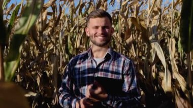 Yakışıklı bir çiftçi mısır hasat portresi.