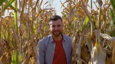 Teftiş için mısır tarlası boyunca yürüyen Kafkas tarım işçisi. Hasat bakım konsepti