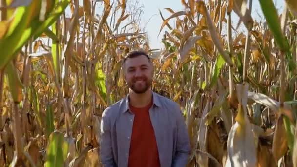 Campesino Caucásico Caminando Largo Del Campo Maíz Para Inspección Concepto — Vídeo de stock