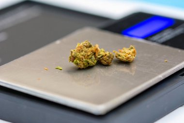 Bir gram ölçekte esrar veya marihuana yakın çekim 