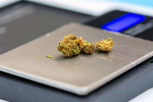 Bir gram ölçekte esrar veya marihuana yakın çekim 