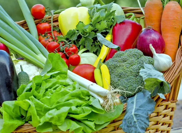 Fresh vegetables — Stock Photo, Image