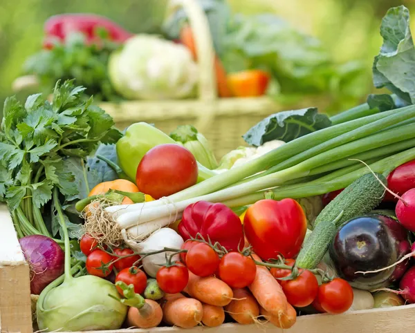 Verduras orgánicas frescas — Foto de Stock