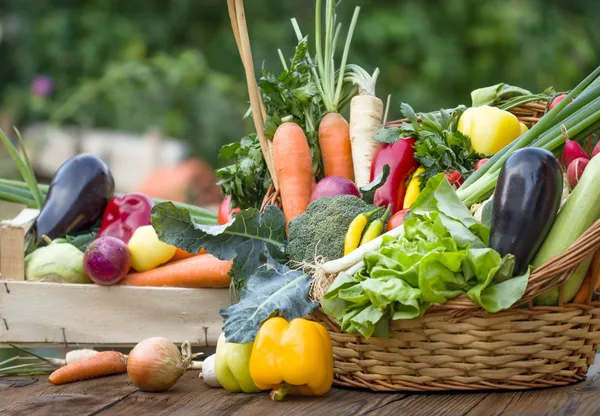 Produtos hortícolas frescos — Fotografia de Stock