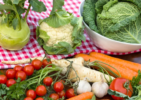 Fresh organic vegetables on the tablecloth — Stock Photo, Image