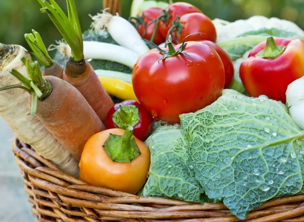Органические овощи в плетеной корзине — стоковое фото