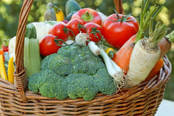 Wiklinowy koszyk jest pełna organicznych warzyw — Zdjęcie stockowe