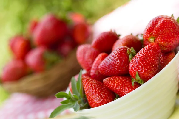 Fresh strawberry — Stock Photo, Image