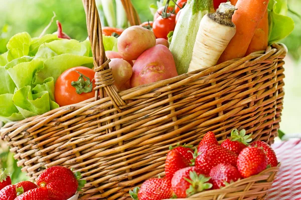 Pełny Kosz świeżych organicznych warzyw — Zdjęcie stockowe