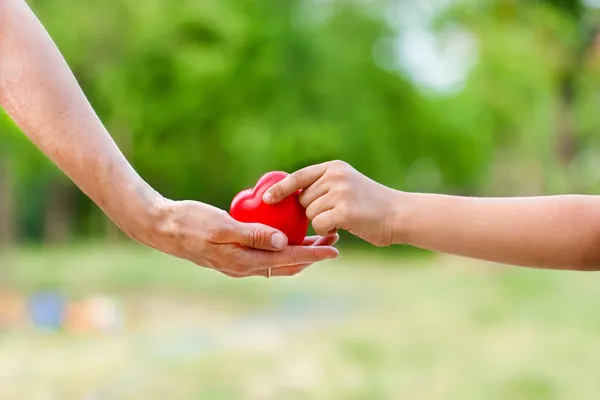 All den kärlek som ges till barn — Stockfoto