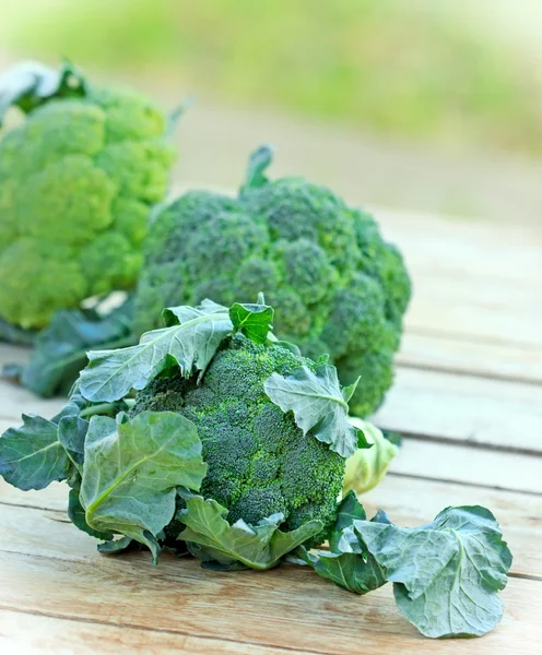Taze organik brokoli — Stok fotoğraf