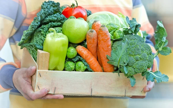 Caja llena de alimentos orgánicos frescos (frutas y verduras) ) —  Fotos de Stock