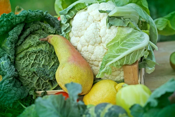 Fresh fruit and vegetable — Stock Photo, Image