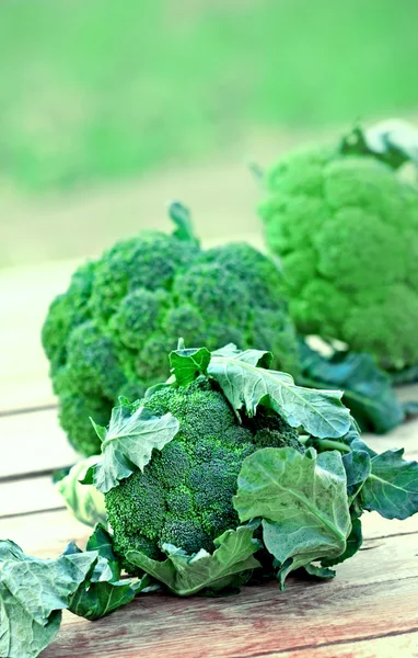 Verse organische broccoli — Stockfoto