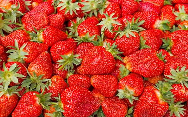 Fresh organic strawberry — Stock Photo, Image