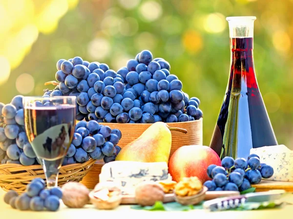 Rode druiven en rode wijn — Stockfoto