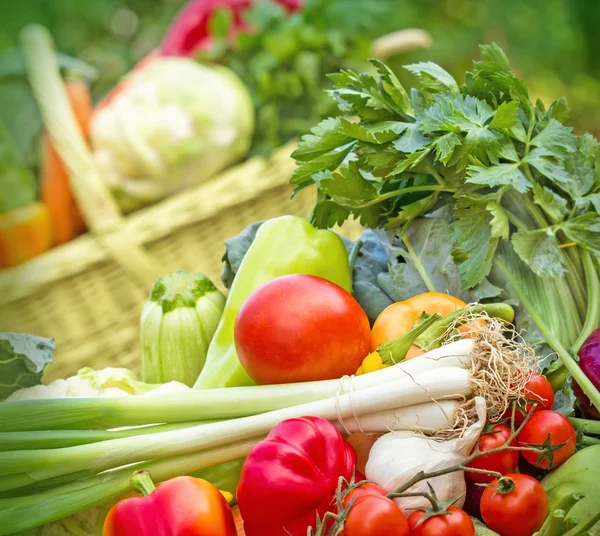 Fresh organic vegetables — Stock Photo, Image