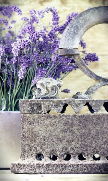 Rustikales Eisen (altes Eisen) und trockener Lavendel — Stockfoto