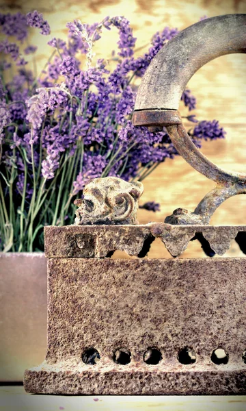 Rustic iron (old iron) and dry lavender — Stock Photo, Image