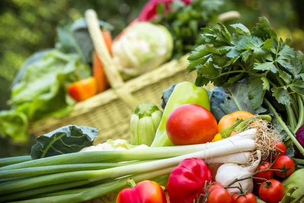 Verduras orgánicas frescas — Foto de Stock