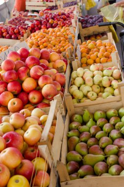 taze organik meyve--dan serbia