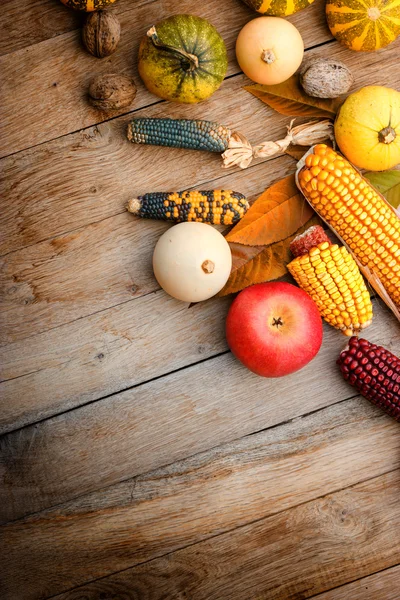 Autumn harvest on a table — Stock Photo, Image