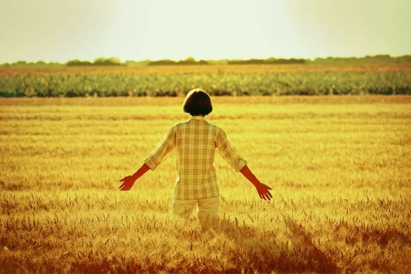 Women in a wheat field at sunset - greeting nature — Stock Photo, Image