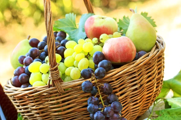 Свіжі органічні осінні плоди в плетеному кошику — стокове фото