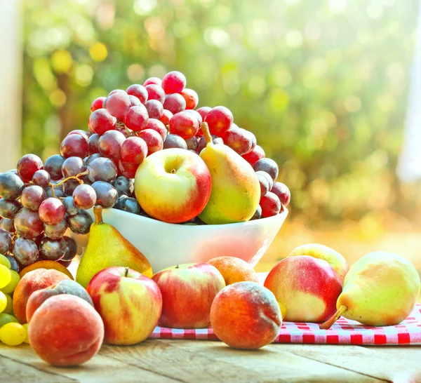 Świeżych owoców — Zdjęcie stockowe