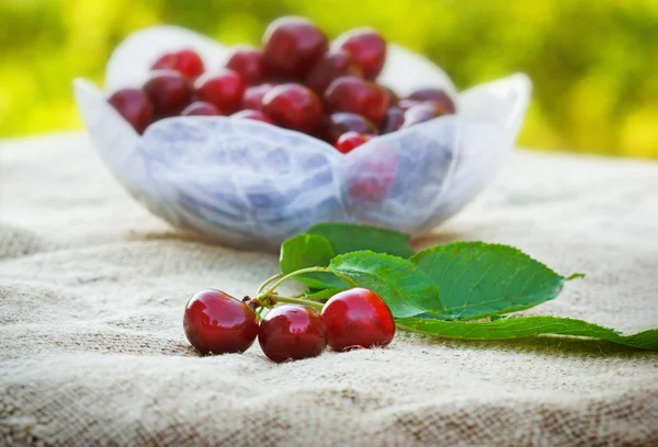 Fresh organic cherries — Stock Photo, Image