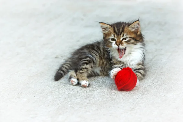 Little kitten playing with ball of wool — Stock Photo, Image