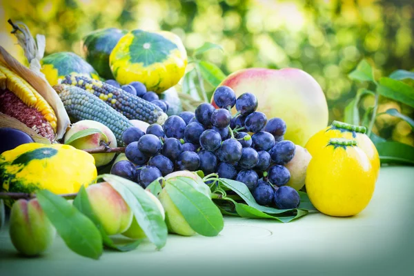 Fruits et légumes en été et autmn — Photo