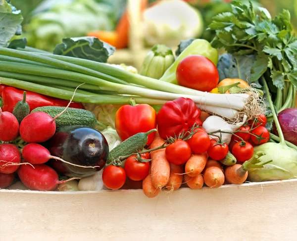 Verduras orgánicas frescas — Foto de Stock