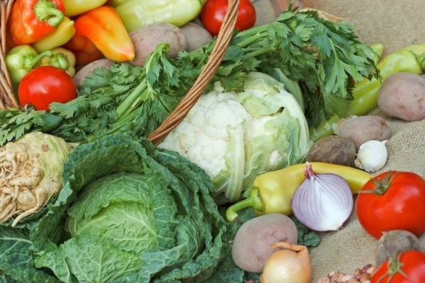 Légumes frais biologiques — Photo