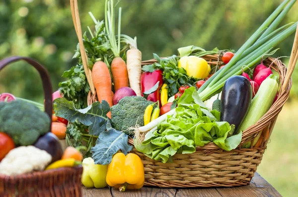 Organic vegetables in wicker basket — Stock Photo, Image