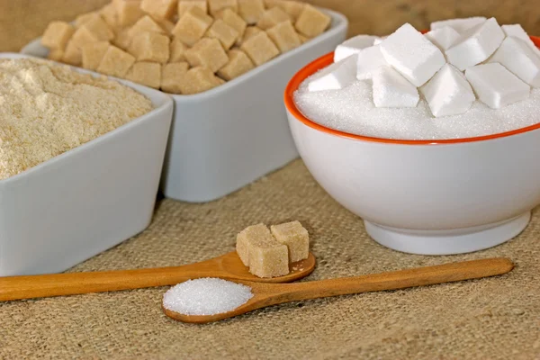 Various kinds of sugar — Stockfoto