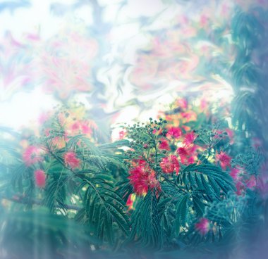 çiçeklenme tree - çiçekli