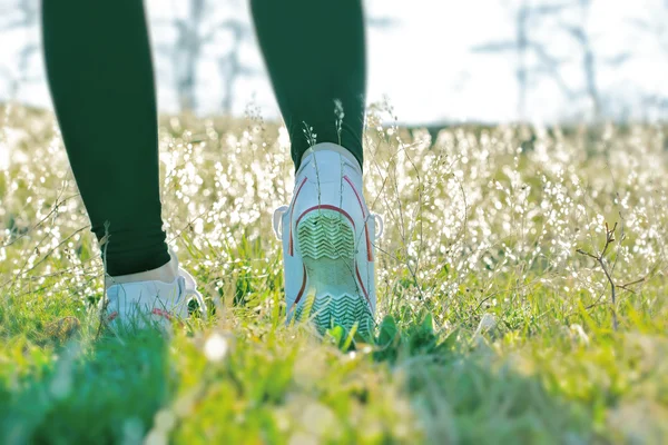 Le passeggiate migliorano la salute e l'umore in primavera — Foto Stock